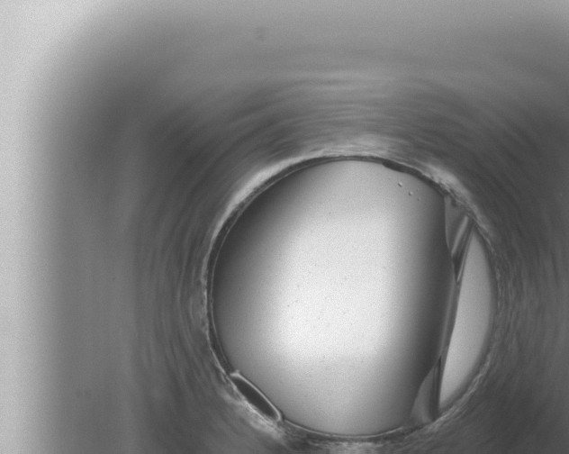 X0000080101184200612221731