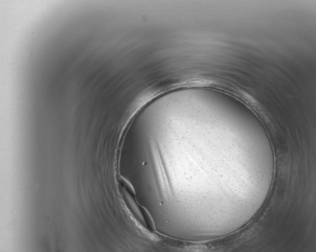 X0000080101186200612221731