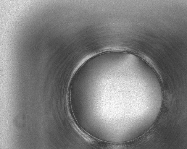 X0000080101187200612221731