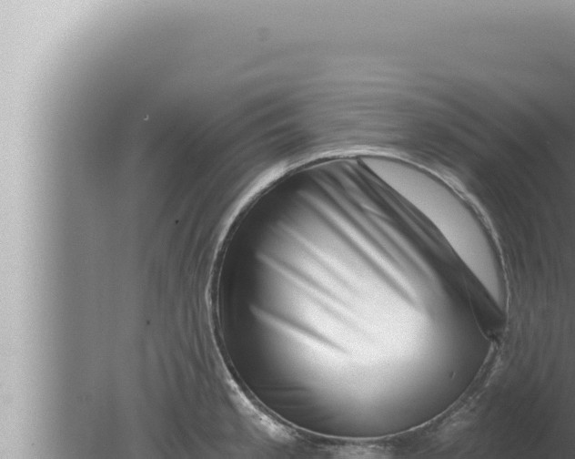 X0000080101189200612221731