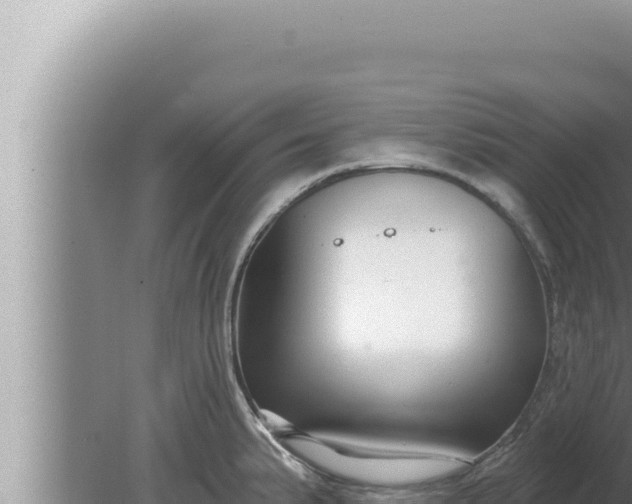 X0000080101191200612221731