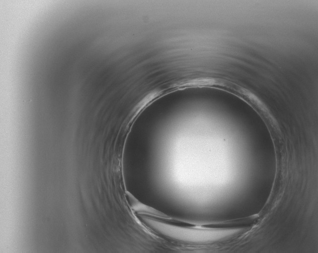 X0000080101193200612221730