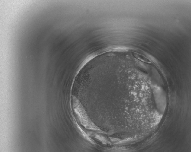 X0000080101194200612221730