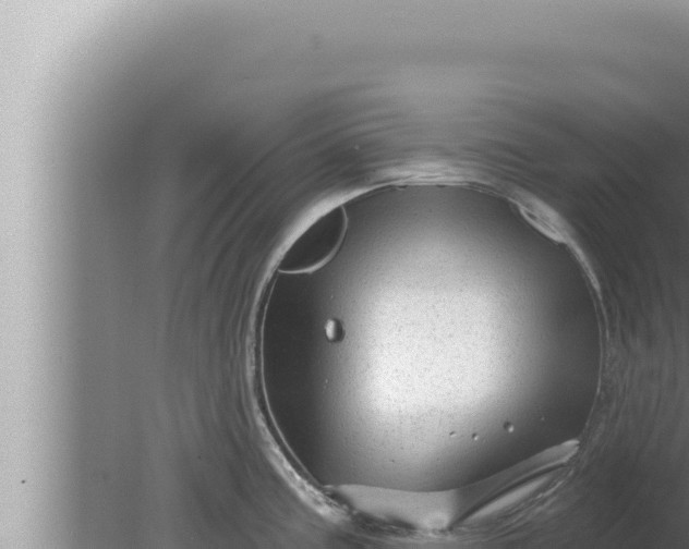 X0000080101195200612221730