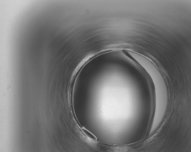 X0000080101196200612221730