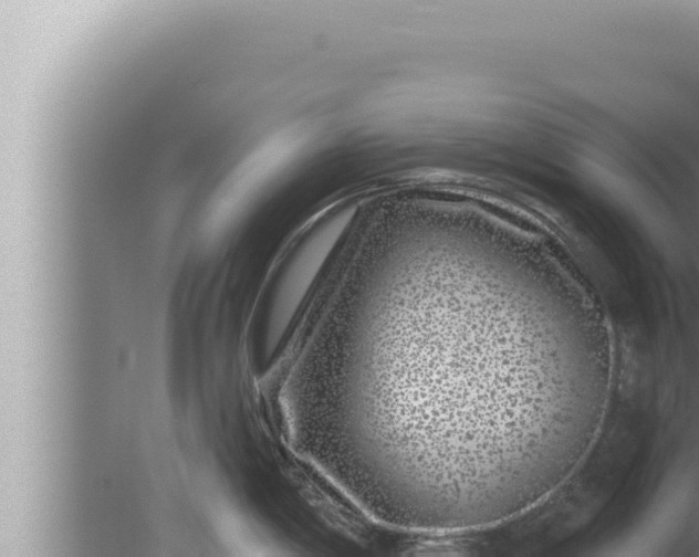 X0000080101198200612221730