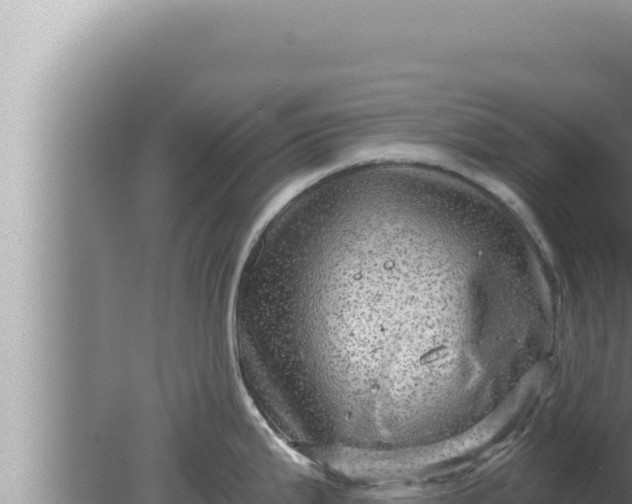 X0000080101199200612221730