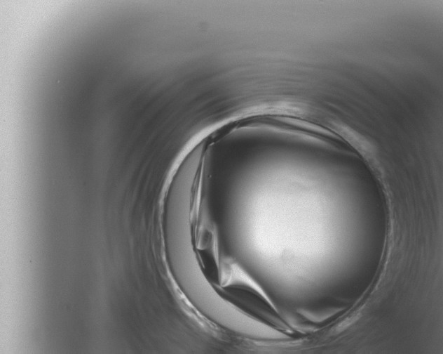 X0000080101200200612221730