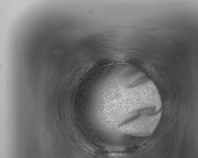 X0000080101201200612221730