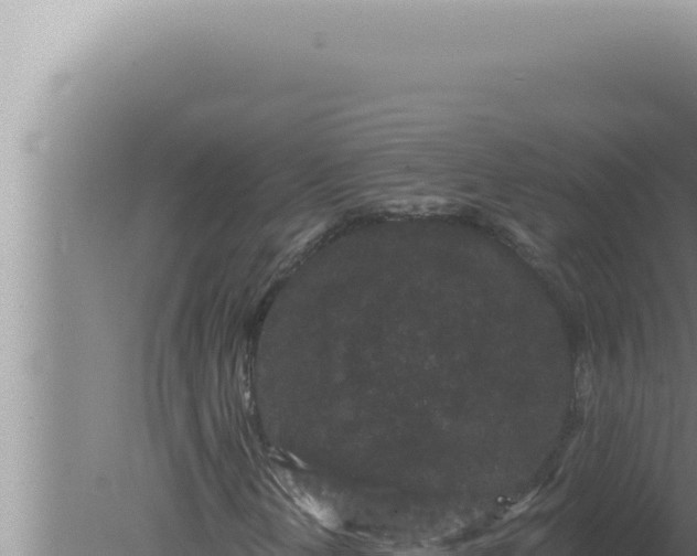 X0000080101202200612221730