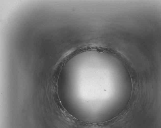 X0000080101207200612221730