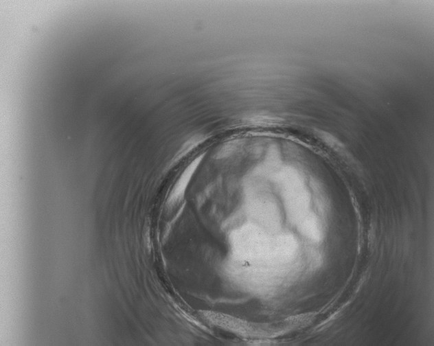 X0000080101209200612221730