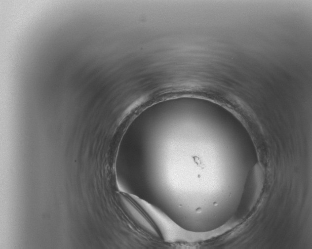 X0000080101210200612221730