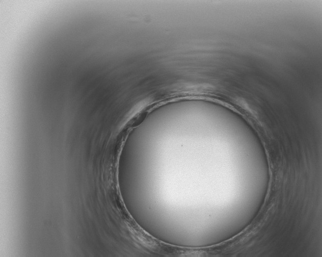 X0000080101211200612221730