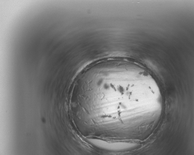 X0000080101212200612221730