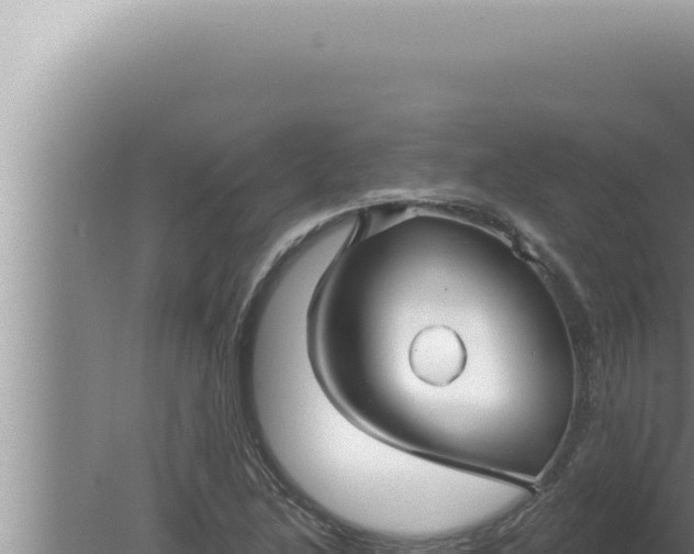 X0000080101214200612221730