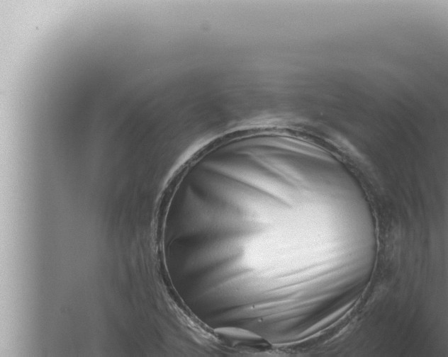 X0000080101216200612221730