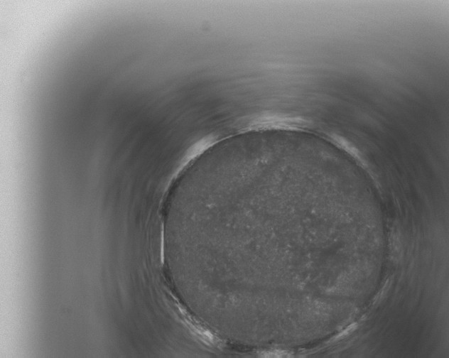 X0000080101219200612221730