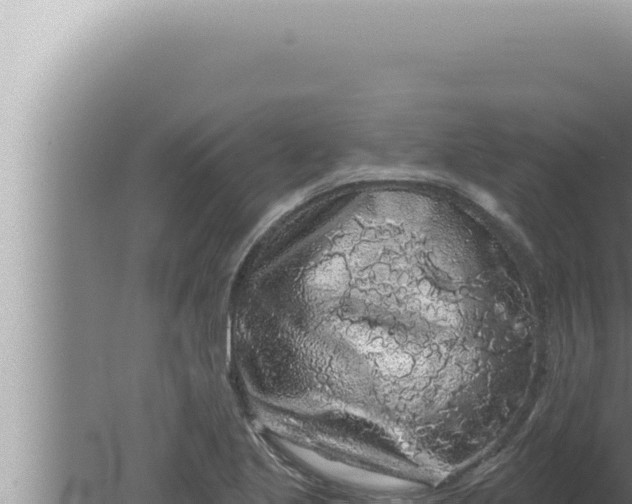 X0000080101221200612221730