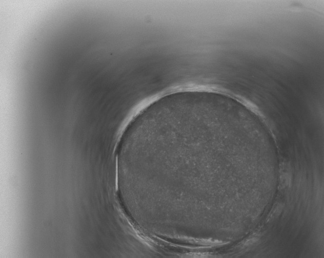 X0000080101223200612221730