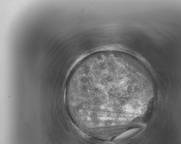 X0000080101224200612221730