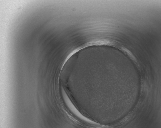 X0000080101226200612221730