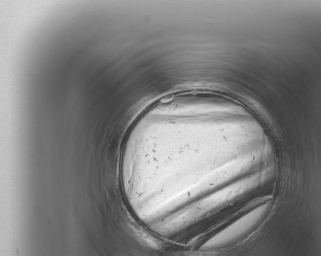 X0000080101228200612221730