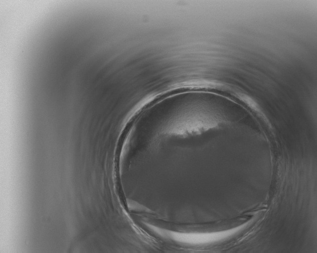 X0000080101229200612221730