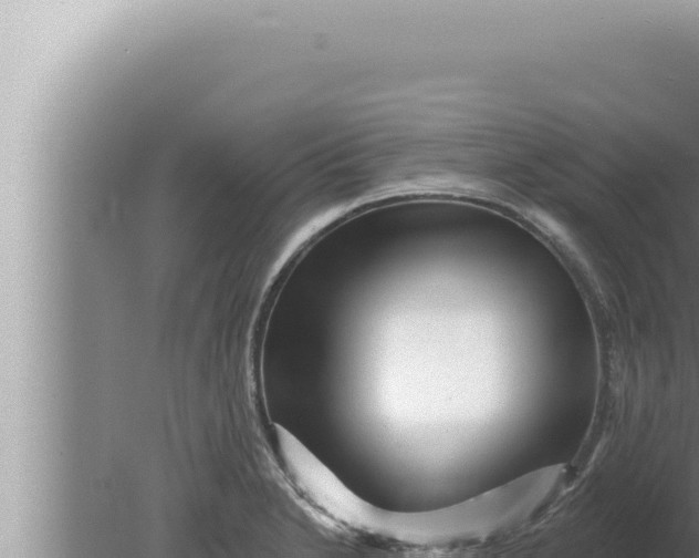 X0000080101230200612221730