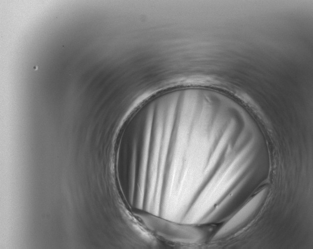 X0000080101232200612221730