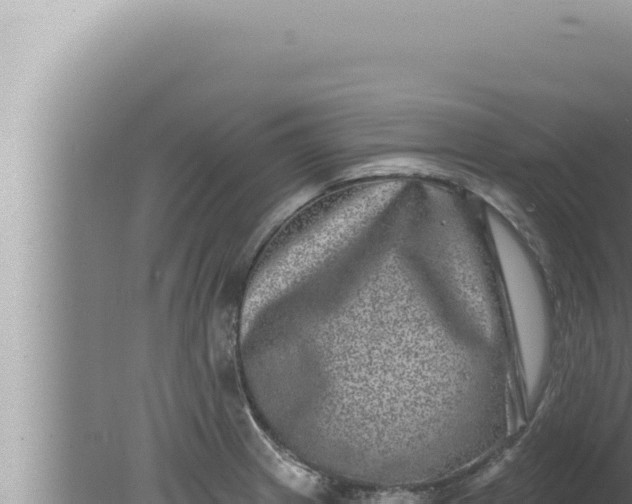 X0000080101233200612221730