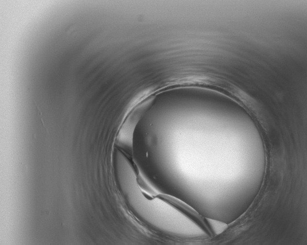 X0000080101234200612221730