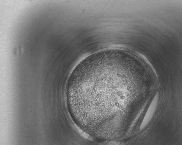 X0000080101235200612221730