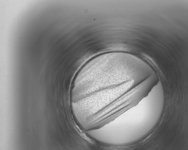 X0000080101236200612221730