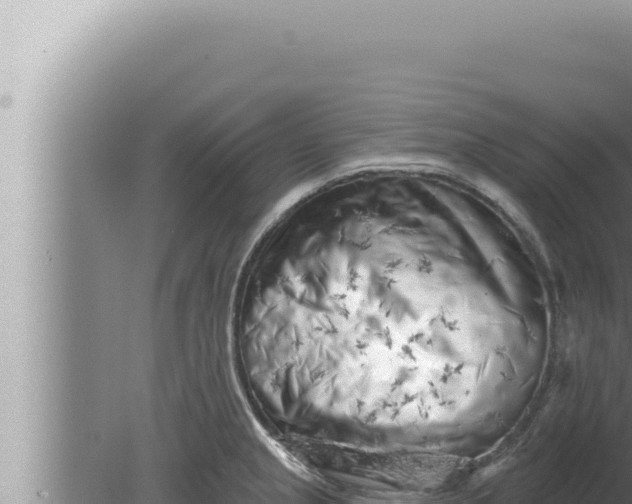 X0000080101237200612221730