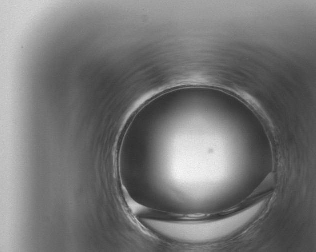 X0000080101238200612221730