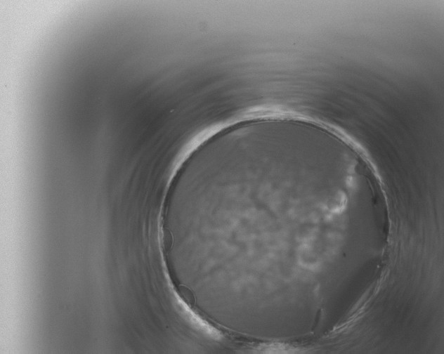 X0000080101239200612221730