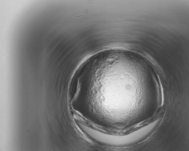 X0000080101240200612221730