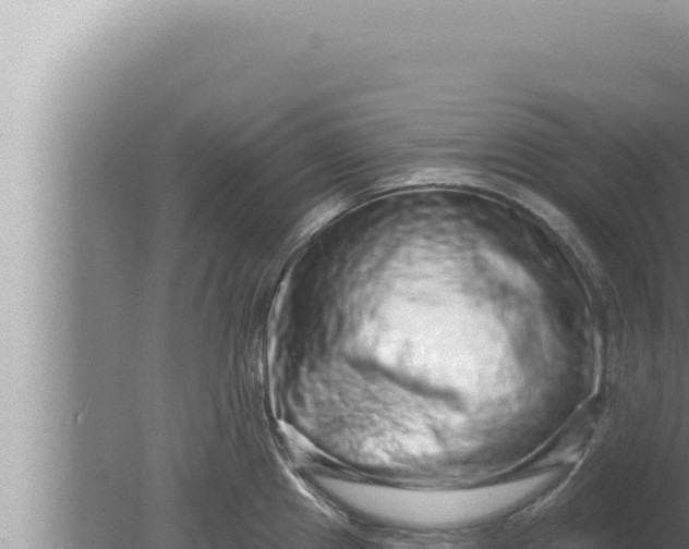 X0000080101241200612221730