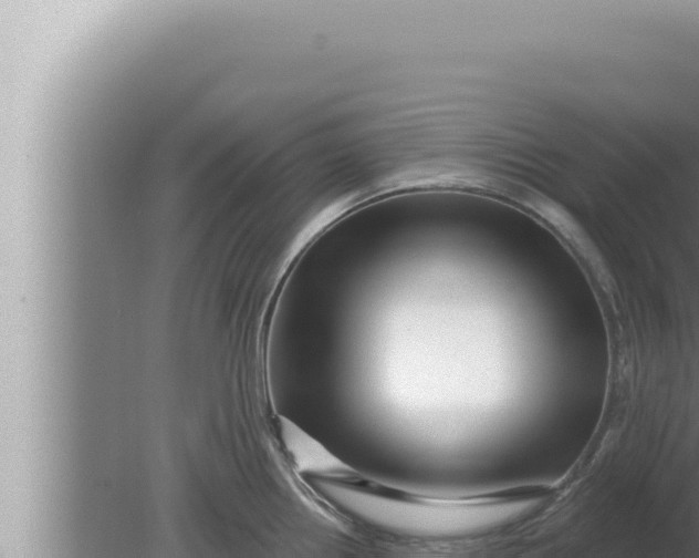 X0000080101242200612221730