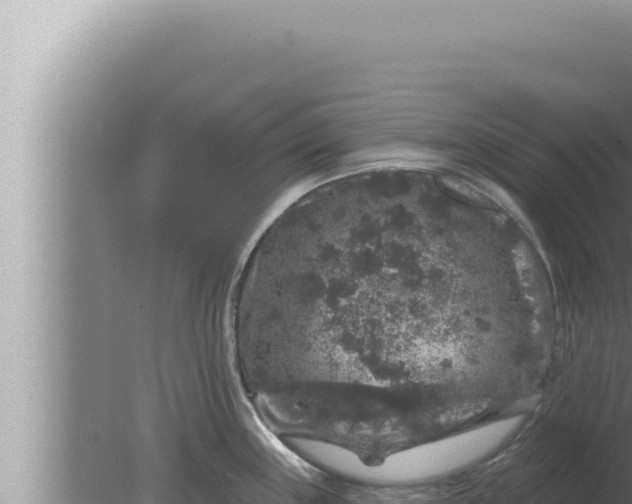 X0000080101243200612221730