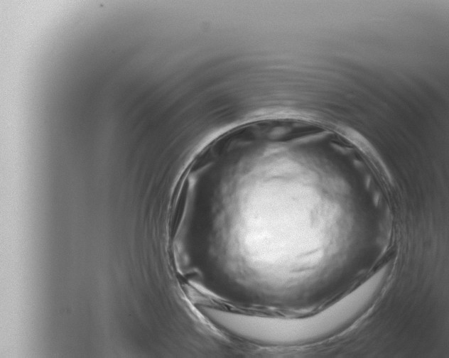 X0000080101244200612221730