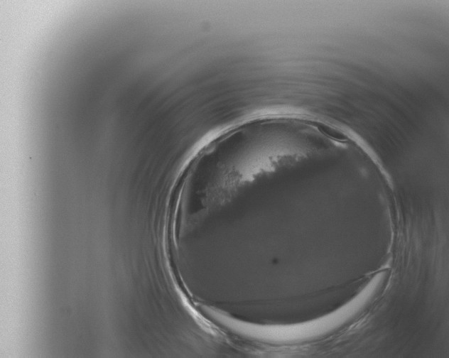 X0000080101245200612221730