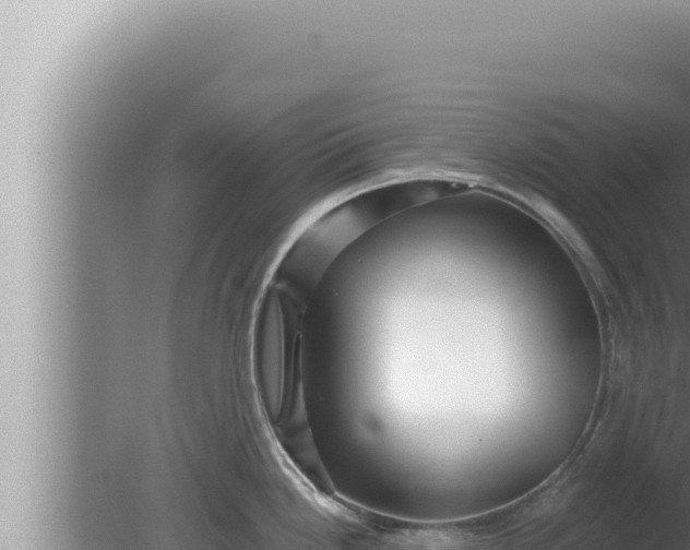 X0000080101246200612221730