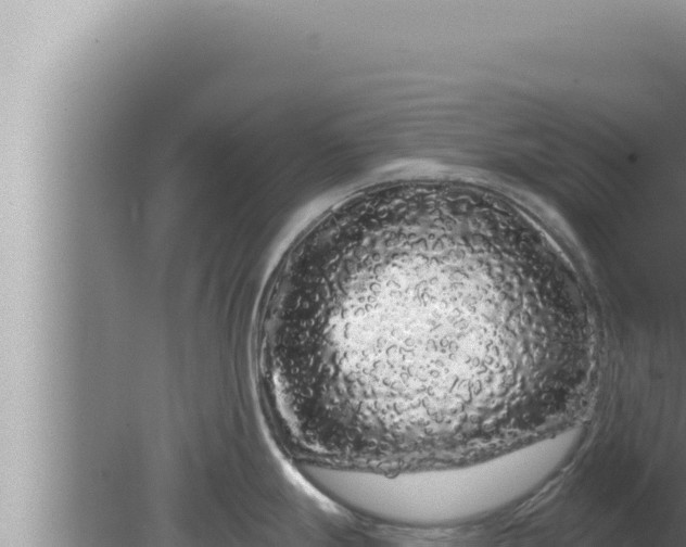 X0000080101247200612221730