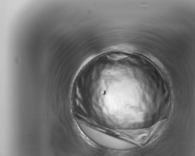 X0000080101248200612221730