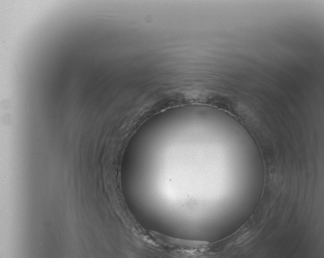 X0000080101249200612221730