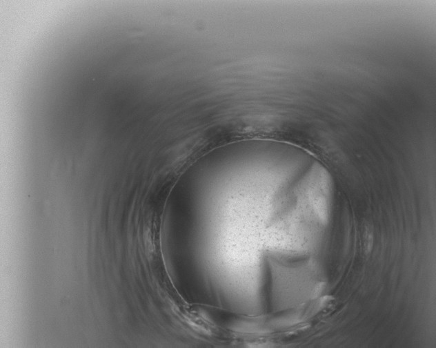 X0000080101250200612221730