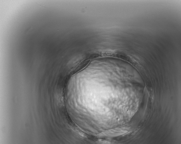 X0000080101252200612221730