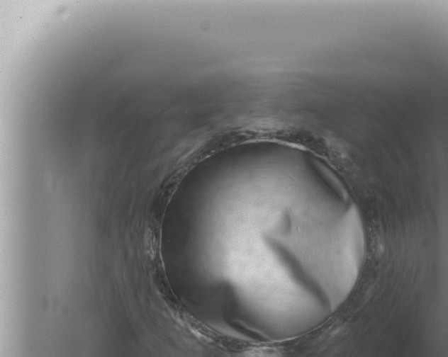 X0000080101253200612221729